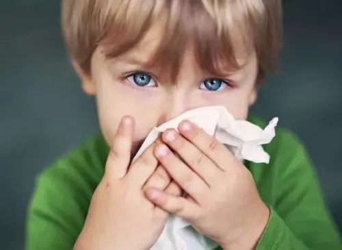 Розвиток нежитю по днях