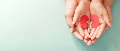 ваши почки в ваших руках