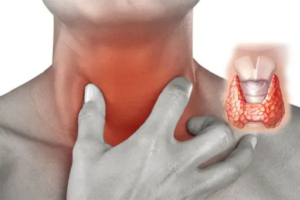 Анализ ТТГ: норма тиреотропного гормона и расшифровка результатов
