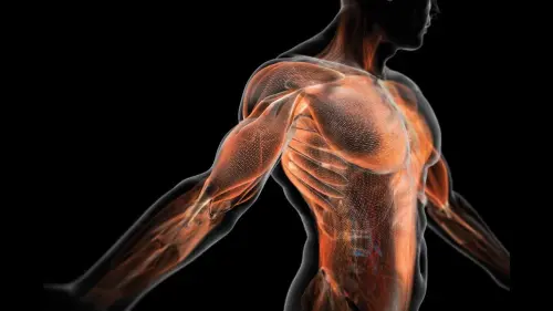 Що відбувається з організмом під час навантаження