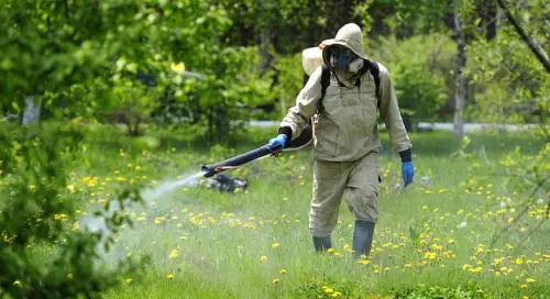 Профілактика та захист від кліщів