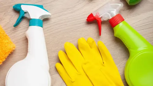 Побутові фактори, що провокують екзему