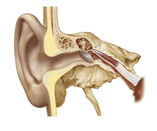 Что такое продувание слуховой трубы