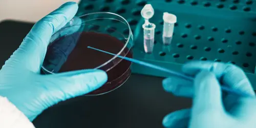 Після забору біоматеріалу