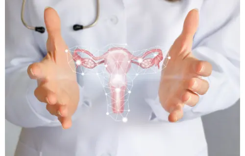 Диагностические возможности УЗИ органов малого таза