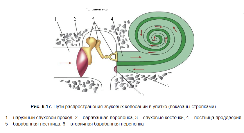 Симптоми акустичної травми