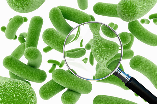 вибір пробіотика в аптеці